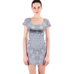 Flower Lace In Decorative Style Short Sleeve Bodycon Dress