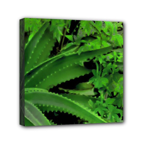 Vivid Tropical Design Mini Canvas 6  X 6  by dflcprints