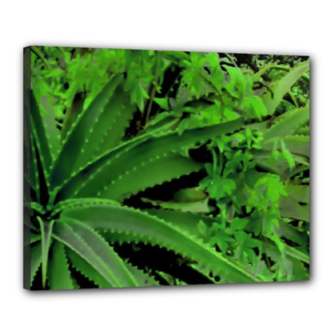 Vivid Tropical Design Canvas 20  X 16 