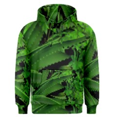 Vivid Tropical Design Men s Pullover Hoodie by dflcprints