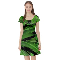 Vivid Tropical Design Short Sleeve Skater Dress by dflcprints