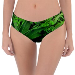 Vivid Tropical Design Reversible Classic Bikini Bottoms by dflcprints