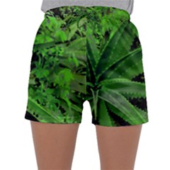 Vivid Tropical Design Sleepwear Shorts