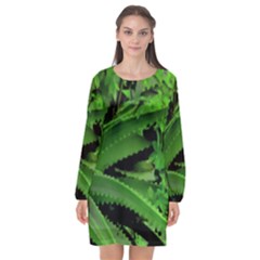 Vivid Tropical Design Long Sleeve Chiffon Shift Dress  by dflcprints