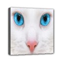 Beautiful White Face Cat Animals Blue Eye Mini Canvas 6  x 6  View1