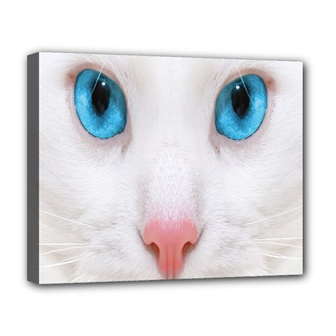 Beautiful White Face Cat Animals Blue Eye Deluxe Canvas 20  X 16  