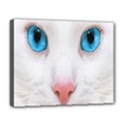 Beautiful White Face Cat Animals Blue Eye Deluxe Canvas 20  x 16   View1