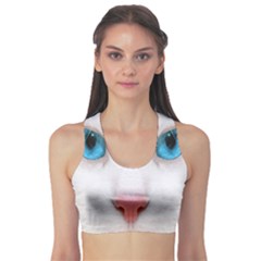 Beautiful White Face Cat Animals Blue Eye Sports Bra