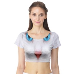 Beautiful White Face Cat Animals Blue Eye Short Sleeve Crop Top by Mariart