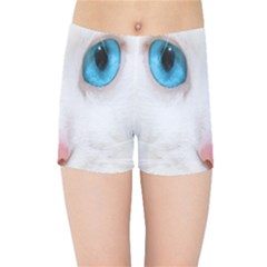 Beautiful White Face Cat Animals Blue Eye Kids Sports Shorts