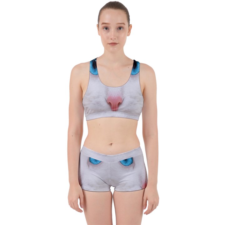 Beautiful White Face Cat Animals Blue Eye Work It Out Sports Bra Set