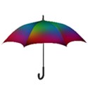 Bright Lines Resolution Image Wallpaper Rainbow Hook Handle Umbrellas (Large) View3