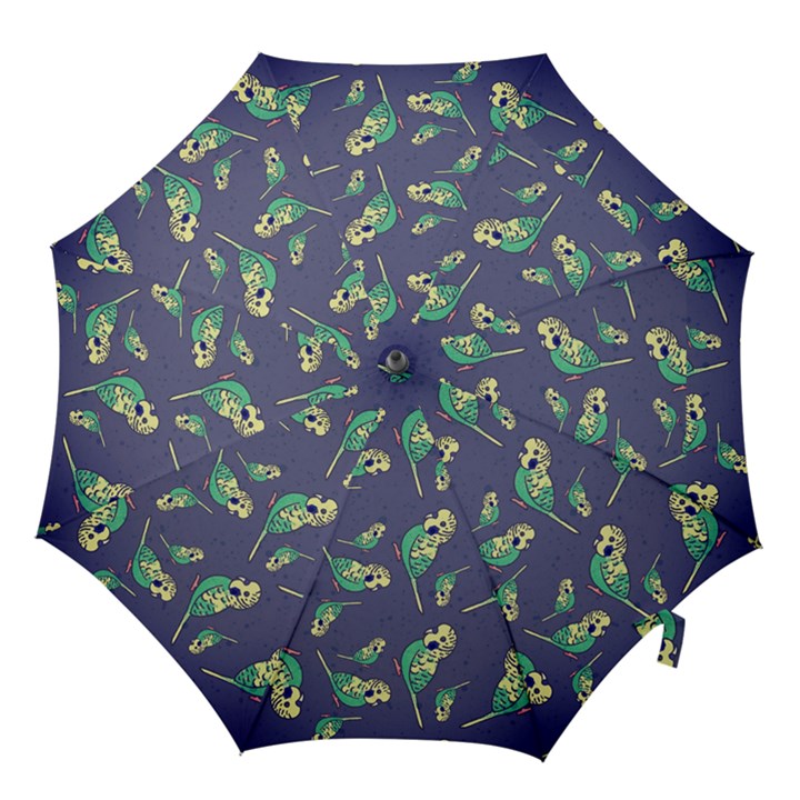 Canaries Budgie Pattern Bird Animals Cute Hook Handle Umbrellas (Medium)