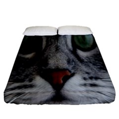 Cat Face Eyes Gray Fluffy Cute Animals Fitted Sheet (queen Size)