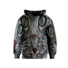 Cat Face Eyes Gray Fluffy Cute Animals Kids  Pullover Hoodie