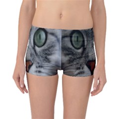 Cat Face Eyes Gray Fluffy Cute Animals Boyleg Bikini Bottoms