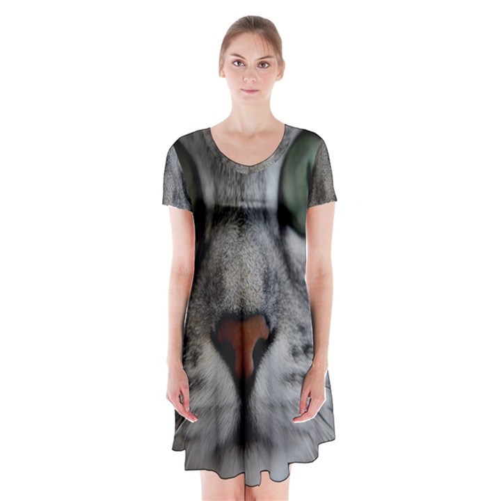 Cat Face Eyes Gray Fluffy Cute Animals Short Sleeve V-neck Flare Dress