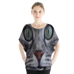 Cat Face Eyes Gray Fluffy Cute Animals Blouse