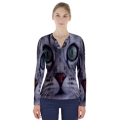 Cat Face Eyes Gray Fluffy Cute Animals V-neck Long Sleeve Top