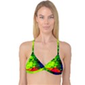 Neon Rainbow Green Pink Blue Red Painting Reversible Tri Bikini Top View3