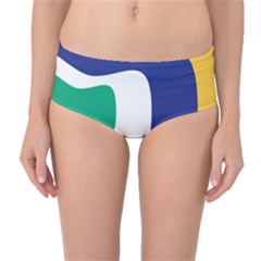 Rainbow Pink Yellow Bluw Green Rainbow Mid-waist Bikini Bottoms