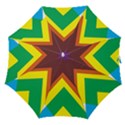 Triangle Chevron Rainbow Web Geeks Straight Umbrellas View1