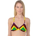 Triangle Chevron Rainbow Web Geeks Reversible Tri Bikini Top View1