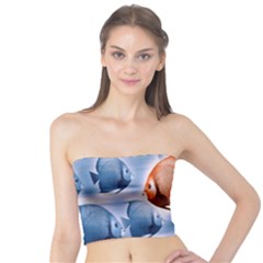 Swim Fish Tube Top