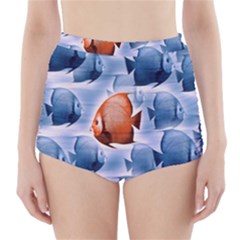 Swim Fish High-waisted Bikini Bottoms