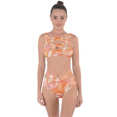 Flower Power, Wonderful Roses, Vintage Design Bandaged Up Bikini Set 