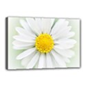 Art Daisy Flower Art Flower Deco Canvas 18  x 12  View1