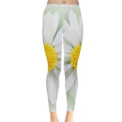 Art Daisy Flower Art Flower Deco Leggings  by Nexatart