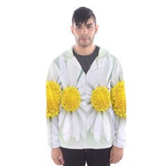 Art Daisy Flower Art Flower Deco Hooded Wind Breaker (men) by Nexatart