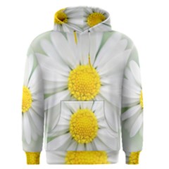 Art Daisy Flower Art Flower Deco Men s Pullover Hoodie by Nexatart