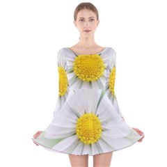 Art Daisy Flower Art Flower Deco Long Sleeve Velvet Skater Dress by Nexatart