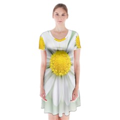 Art Daisy Flower Art Flower Deco Short Sleeve V-neck Flare Dress by Nexatart