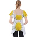 Art Daisy Flower Art Flower Deco Lace Front Dolly Top View2