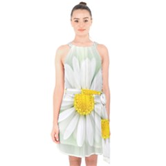 Art Daisy Flower Art Flower Deco Halter Collar Waist Tie Chiffon Dress