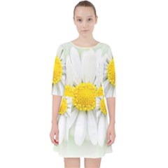 Art Daisy Flower Art Flower Deco Pocket Dress by Nexatart