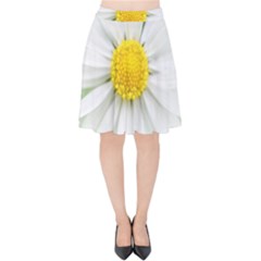 Art Daisy Flower Art Flower Deco Velvet High Waist Skirt