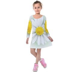 Art Daisy Flower Art Flower Deco Kids  Long Sleeve Velvet Dress by Nexatart