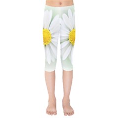 Art Daisy Flower Art Flower Deco Kids  Capri Leggings  by Nexatart