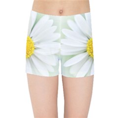 Art Daisy Flower Art Flower Deco Kids Sports Shorts