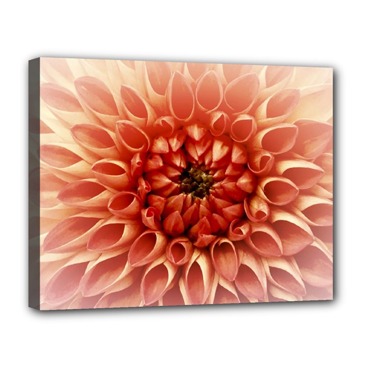 Dahlia Flower Joy Nature Luck Canvas 14  x 11 