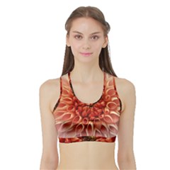 Dahlia Flower Joy Nature Luck Sports Bra With Border by Nexatart