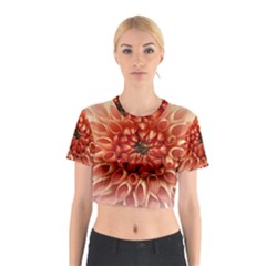 Dahlia Flower Joy Nature Luck Cotton Crop Top by Nexatart