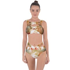 Roses Vintage Playful Romantic Bandaged Up Bikini Set  by Nexatart