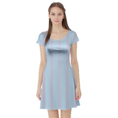 Bleu Pink Line Vertical Short Sleeve Skater Dress