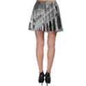 Architecture Parliament Landmark Skater Skirt View2