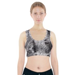 Pineapple Market Fruit Food Fresh Sports Bra With Pocket by Nexatart